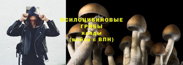 прущий лед Богородицк