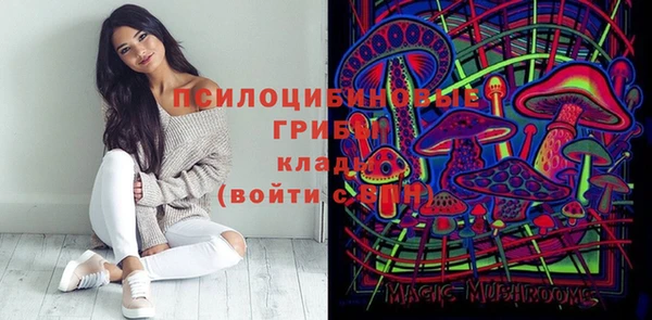 крисы Богородск