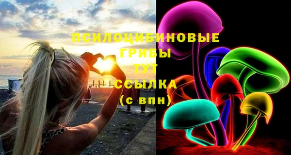 марки lsd Богданович