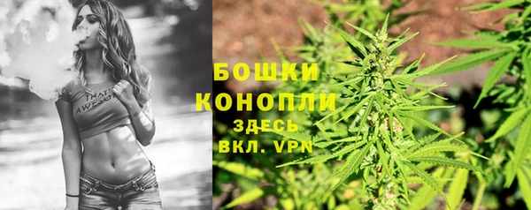 крисы Богородск