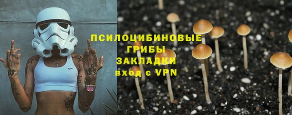 марки lsd Богданович